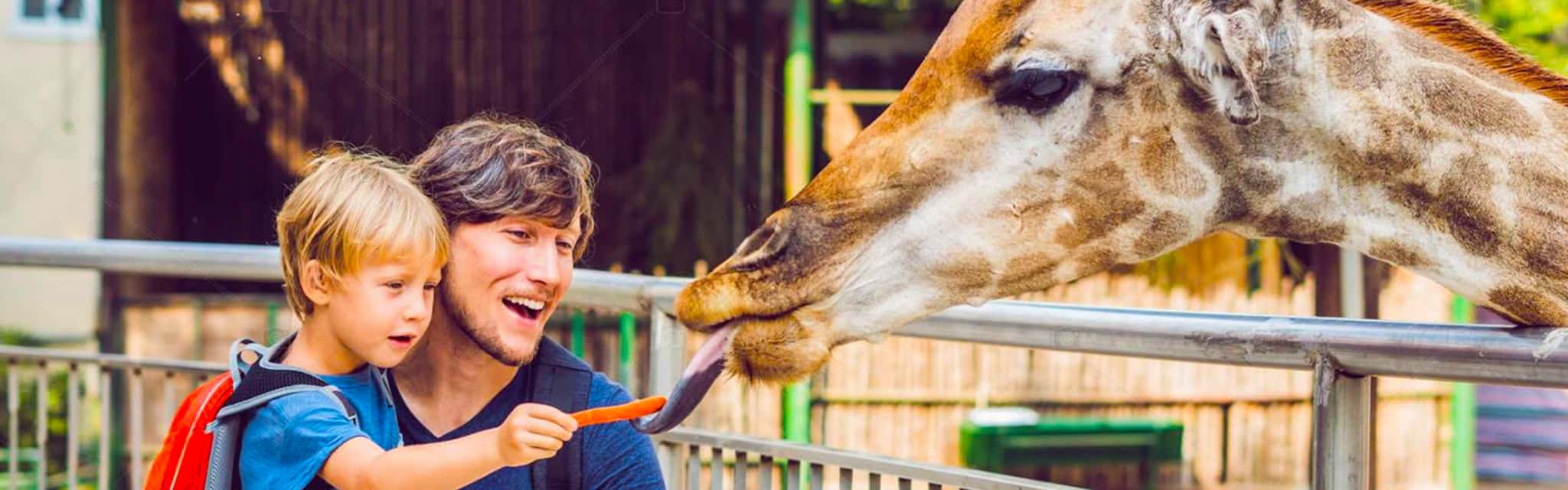 Leipzig Städtetrip mit Zoo Eintrittskarte