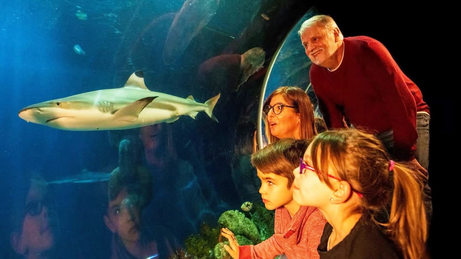 Oberhausen mit SEA LIFE Aquarium inkl. Hotel foto 3