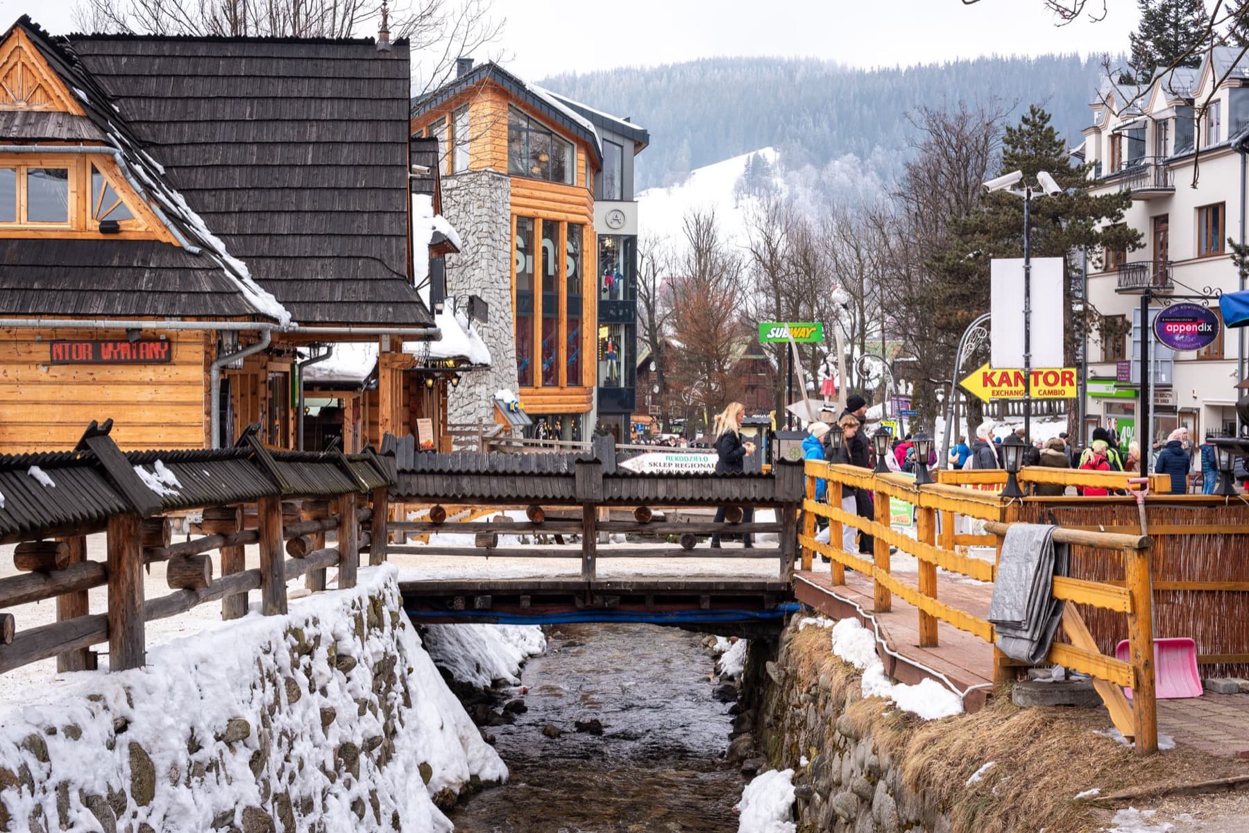 Bergwellness in Zakopane aan de voet van de Tatra foto 3