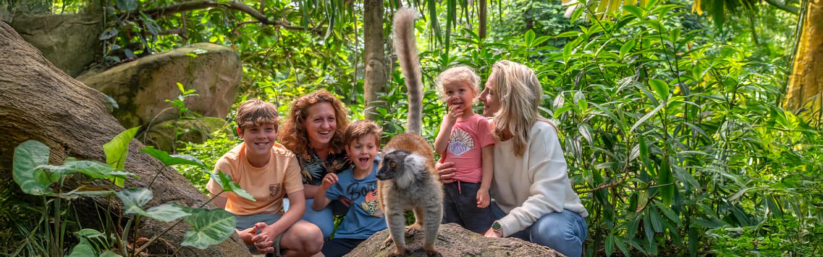 Emmen Zoo – Tickets + Hotelverblijf Inbegrepen