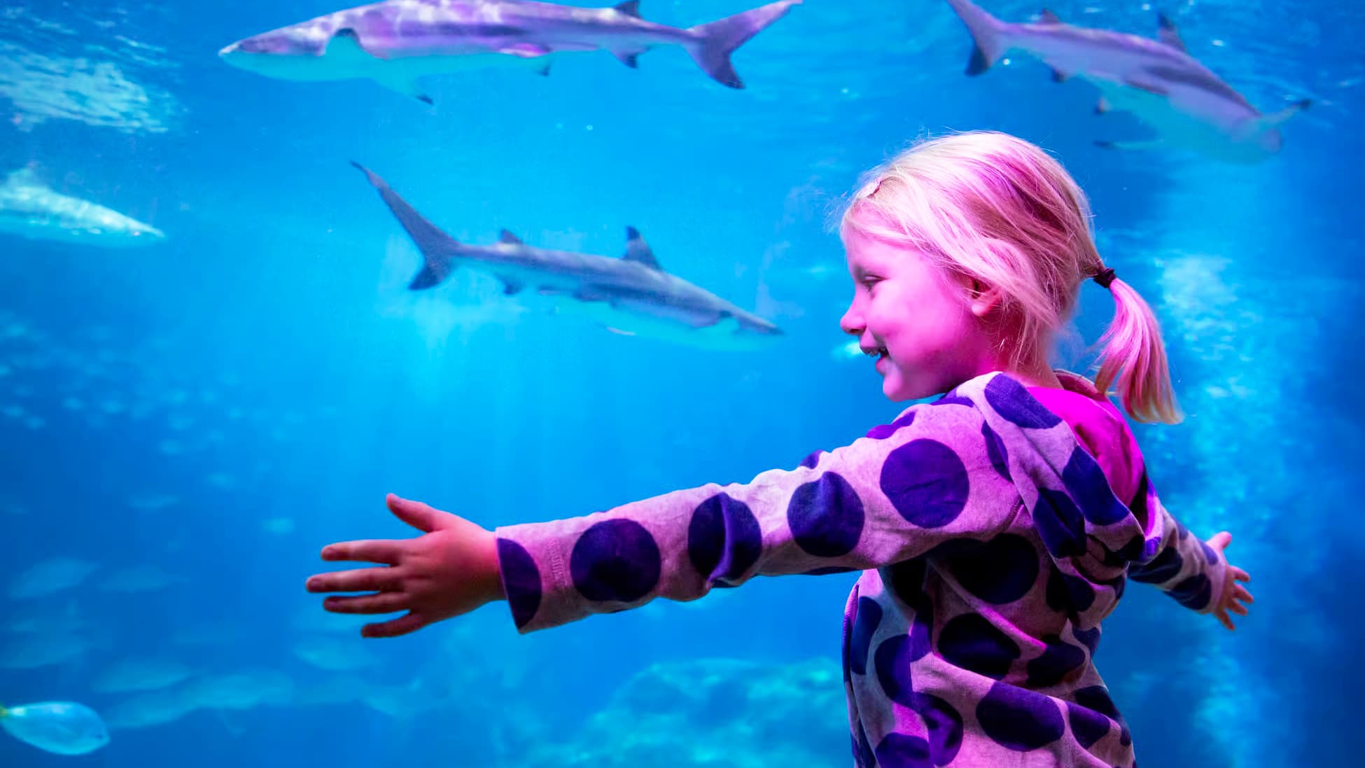 Oberhausen mit SEA LIFE Aquarium inkl. Hotel