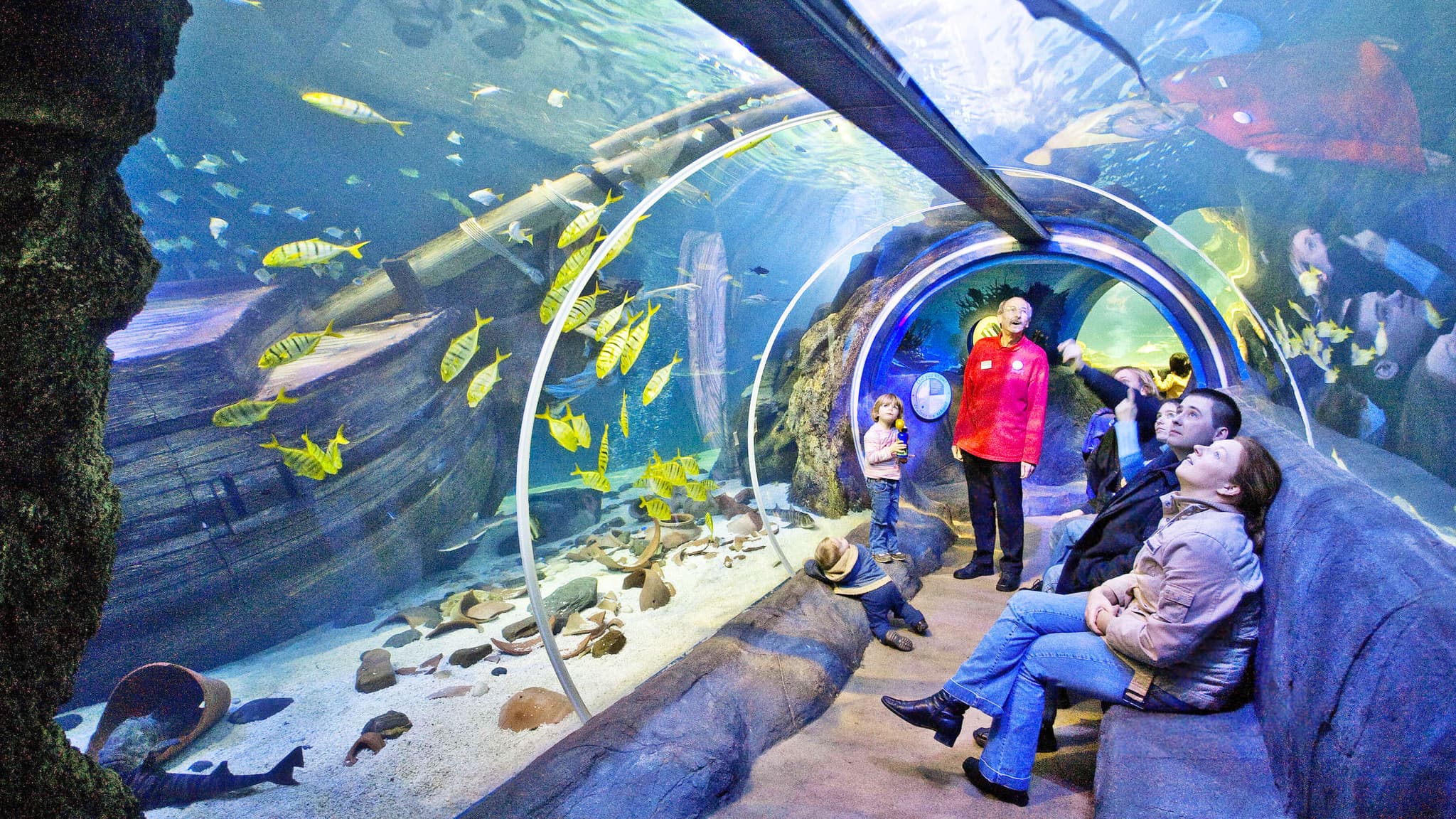 Oberhausen mit SEA LIFE Aquarium inkl. Hotel foto 3